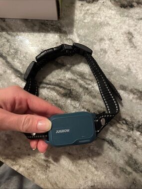 Jugbow blue Dog Training E Collar Receiver